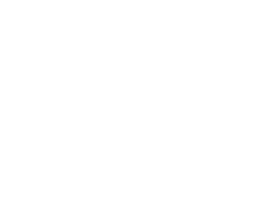 El pavo